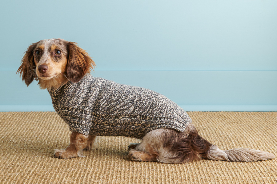 Sole Salvo For Purl Soho: Lucky Dog Sweater in Daily Wool | Purl Soho